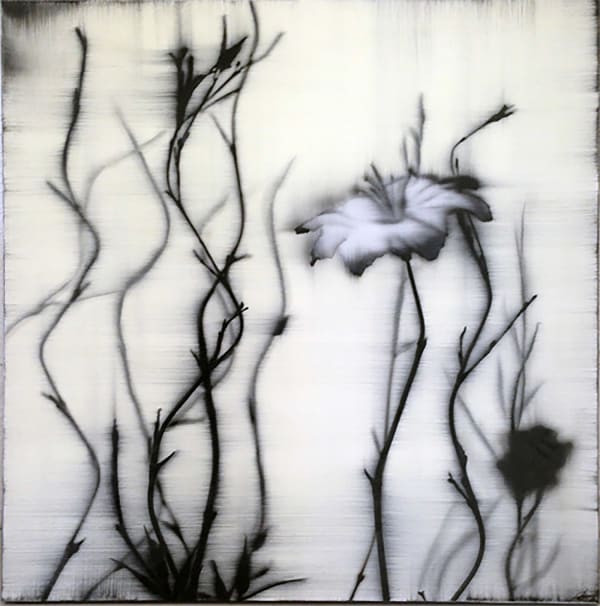 Hamilton Aguiar, 13038 Sublime