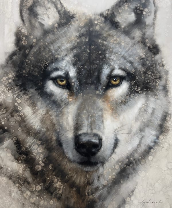 David Riley, A New Dawn Rising