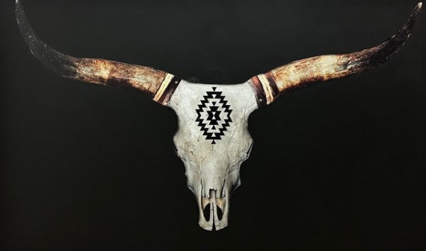 Anke Schofield, Texan Star