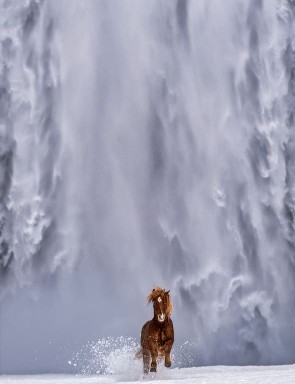 David Yarrow, The Big Chill