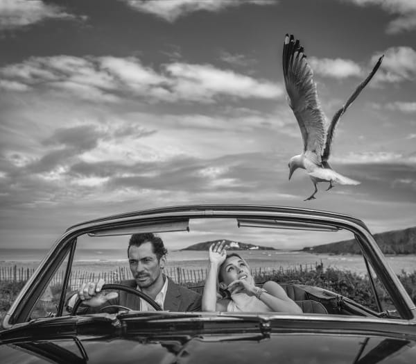 David Yarrow, Bodega Bay