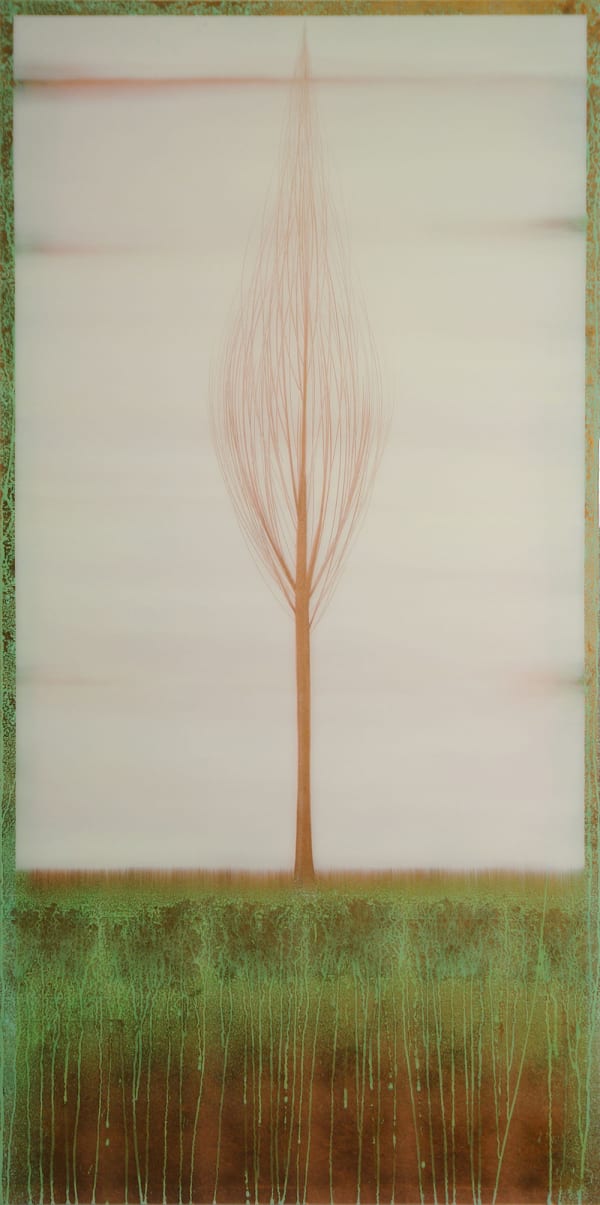 Hamilton Aguiar, 16101 Solitude