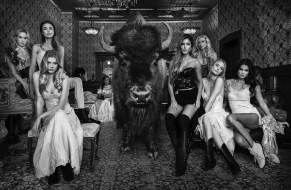 David Yarrow, Where the Buffalo Roam