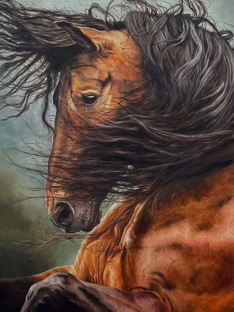 Doug Behm, Windswept