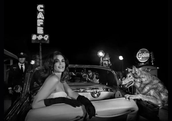 David Yarrow, The Daily News