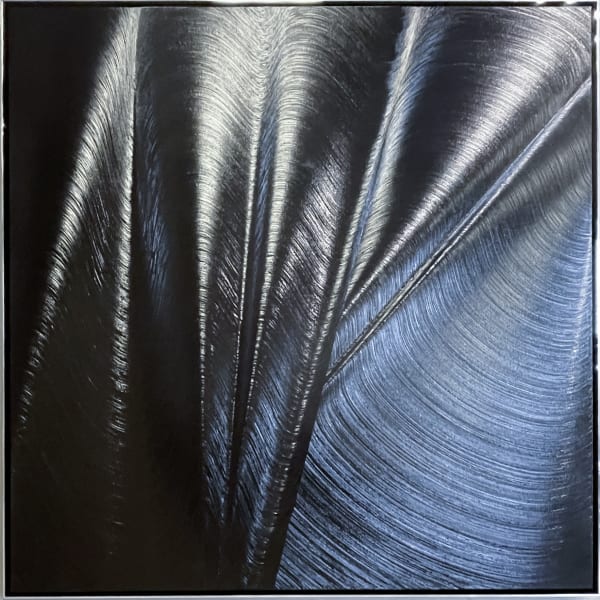 Hamilton Aguiar, Optical 21159