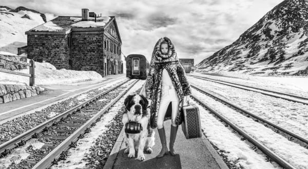 David Yarrow, Switzerland