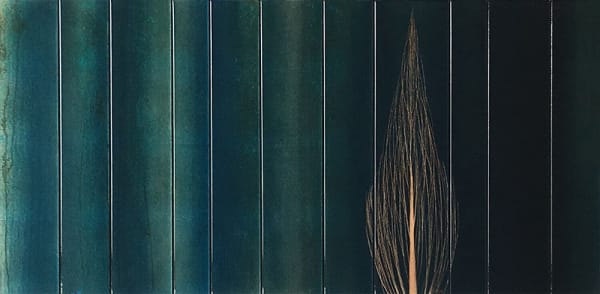 Hamilton Aguiar, 17071 Cores