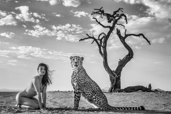 David Yarrow, Enjoy The Silence