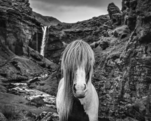 David Yarrow, GOT