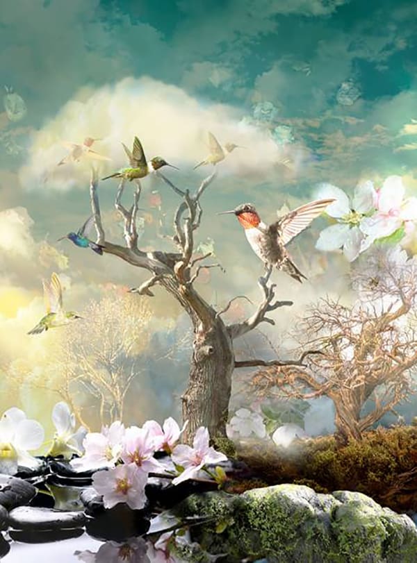 Antal Goldfinger, Reverie