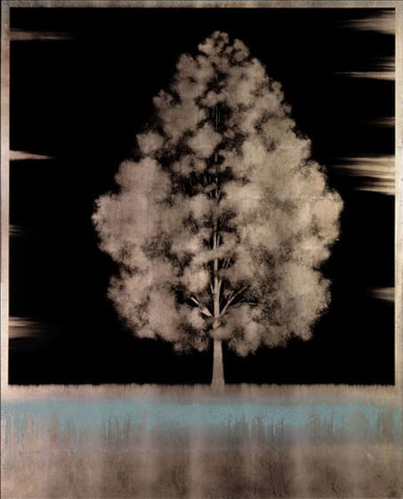 Hamilton Aguiar, Uno 11127