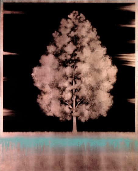 Hamilton Aguiar, Uno 11127