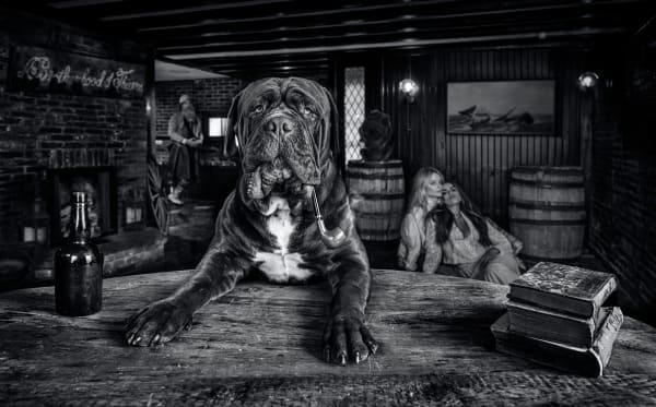 David Yarrow, The Dogfather