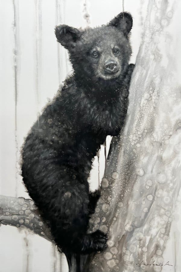 David Riley, Safe & Sound