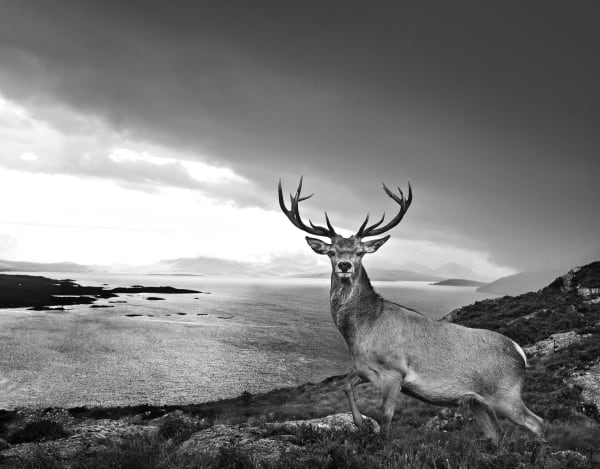 David Yarrow, Over the Sea to Skye