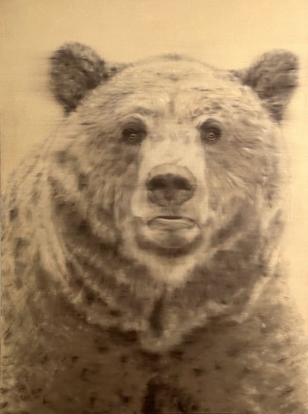 Doug Behm, Curiosity