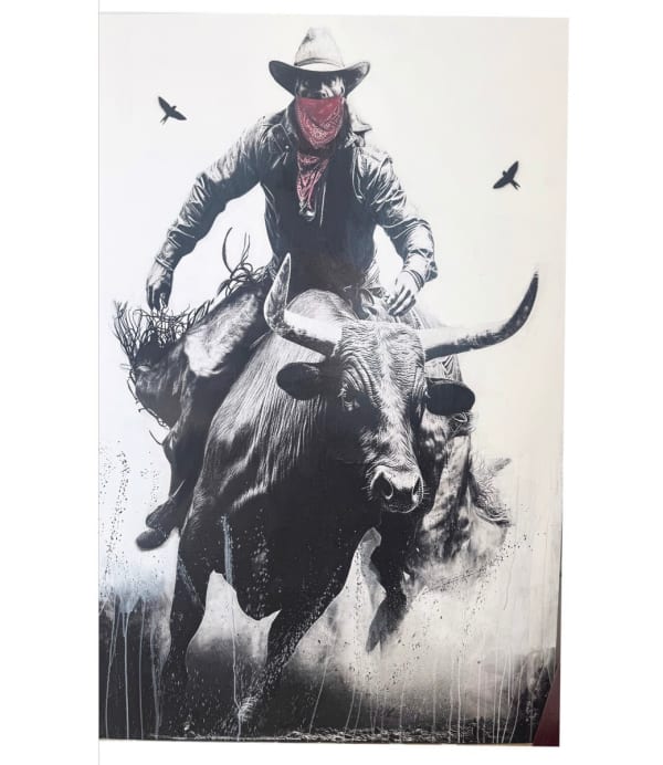 Anke Schofield, Bandit