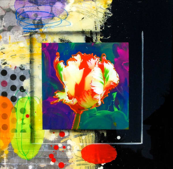 Tulip White & Black 10239