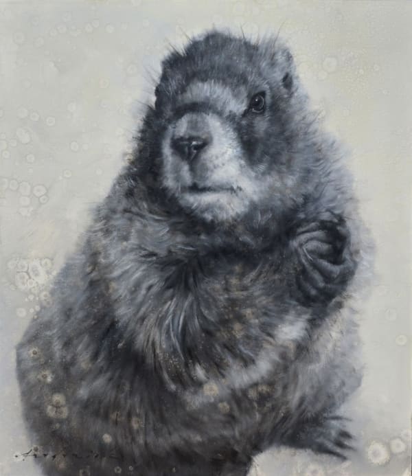 David Riley, Paper Rock Chuck Scissors