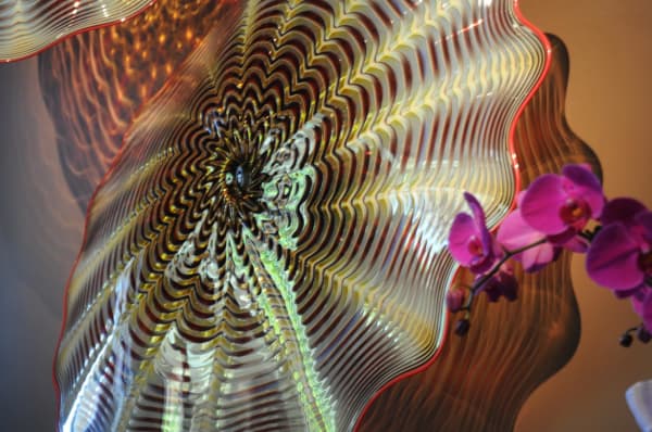 Robert Kaindl, Amber Gold Multi