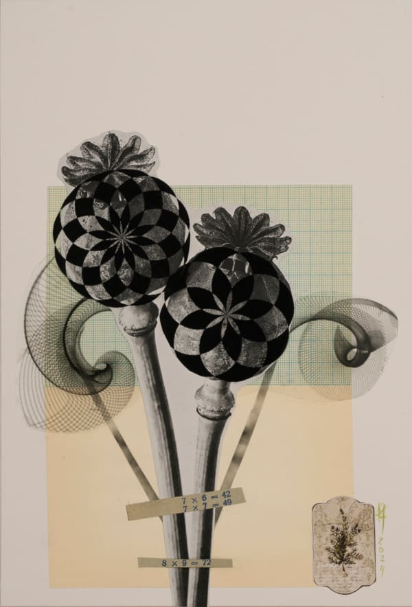 Raluca Arnăutu, Long-curl-poppy, 2024