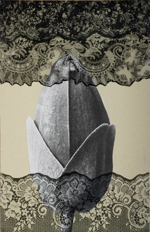 Raluca Arnăutu, Slender Seed, 2024