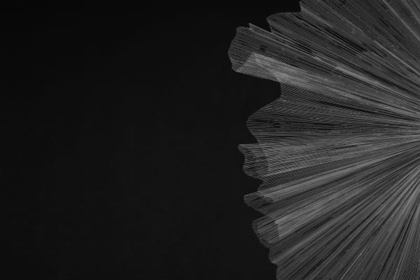 Alina Aldea, G_41, 2021