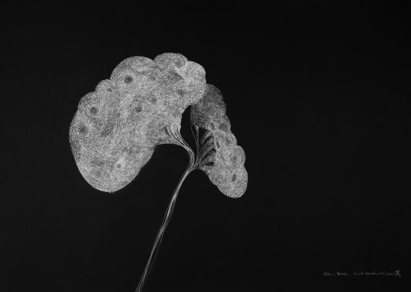 Alina Aldea, Secret Garden 13, 2020