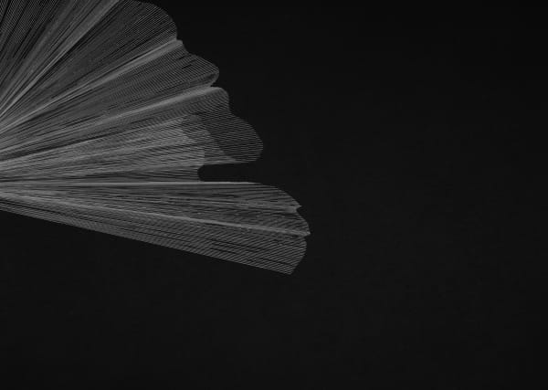 Alina Aldea, G_39, 2021