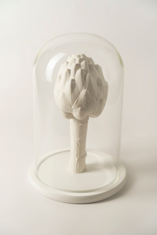 Raluca Arnăutu, Artichoke, 2024