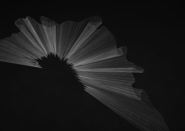 Alina Aldea, G_44, 2021