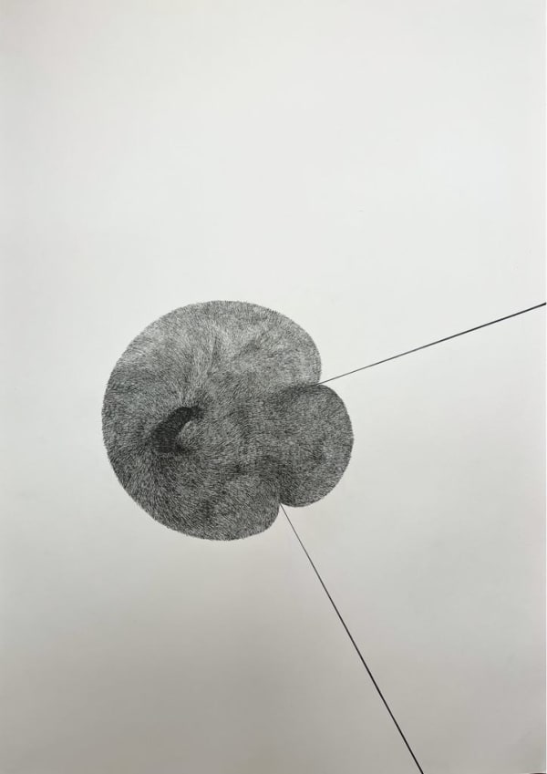 Alina Aldea, Cells 04, 2021