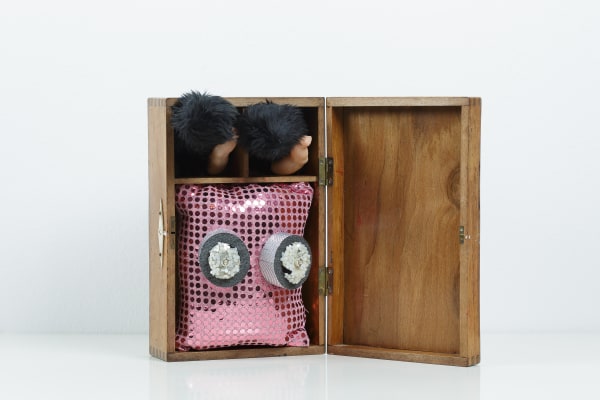 Raluca Arnăutu, Visionary, 2014