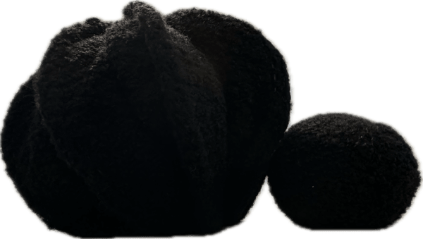 Alina Aldea, Bugs (2 pieces), 2023