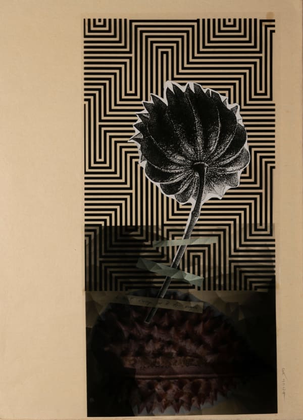 Raluca Arnăutu, Starcrown, 2024