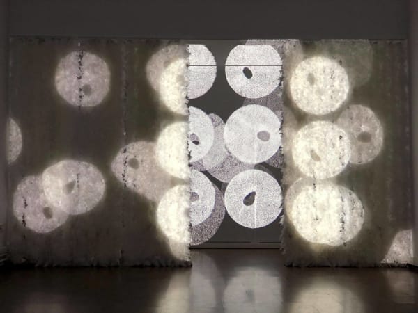 Alina Aldea, Cells_02, 2020