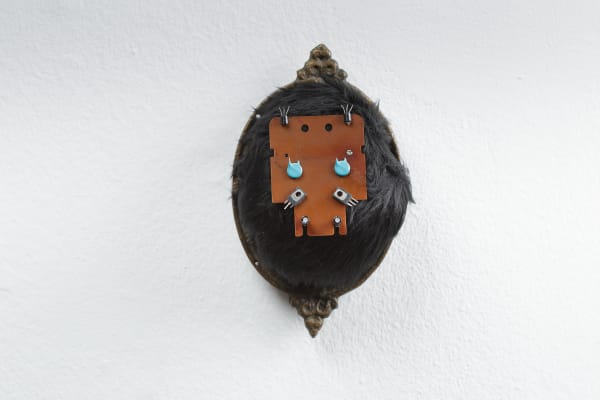 Raluca Arnăutu, Gibon, 2014