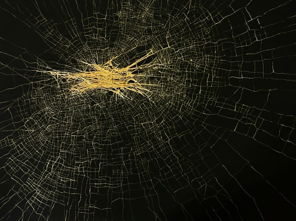 Dhara Mehrotra, Echo IX (10), 2024