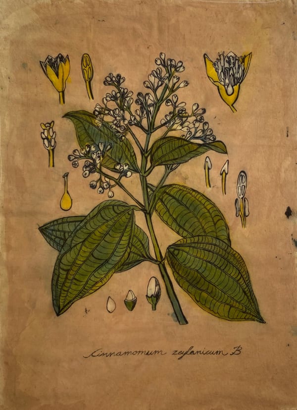 Lavanya Mani Cinnamon, 2023 Natural Dyes on Cotton Fabric 61 x 45.7 cm 24 x 18 in
