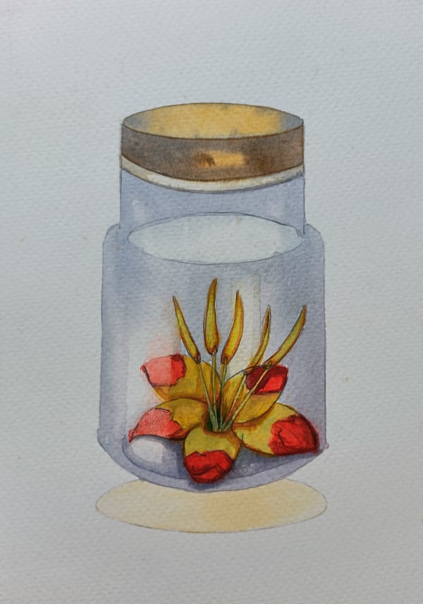 Manisha Agrawal, Vanishing Beauty 5, 2017-19