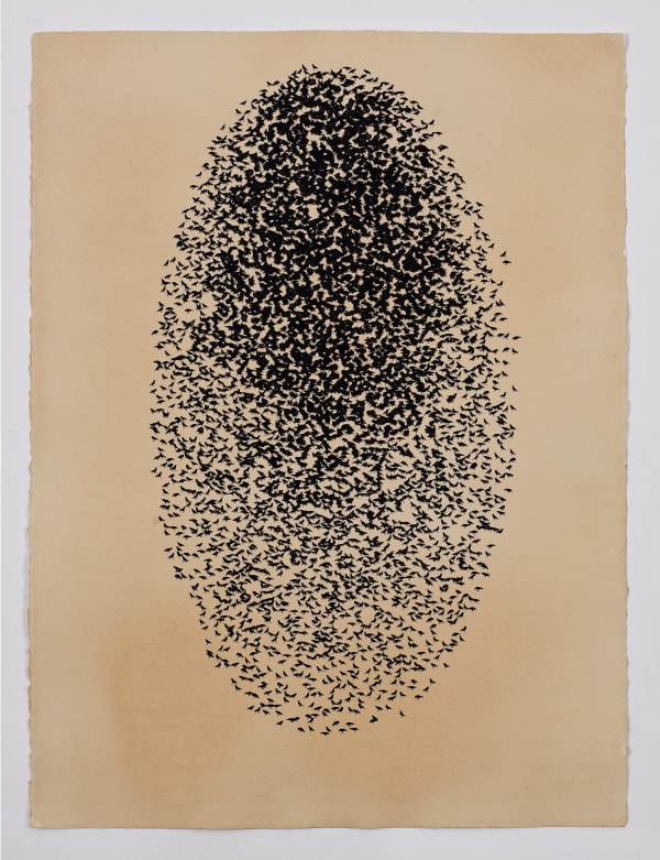 Arslan Farooqi, Microcosm IV, 2025