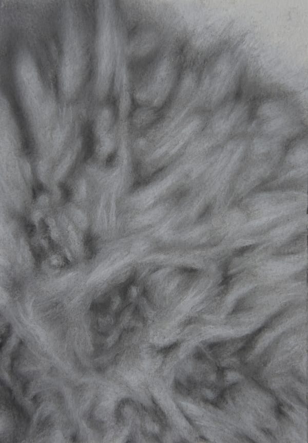 Bhimanshu Pandel Samajhani - Rohi Ki Chitar (6), 2021 Dry Pastel 26.7 x 19.1 cm 10 1/2 x 7 1/2 in