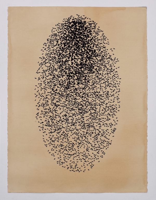 Arslan Farooqi, Microcosm III, 2025