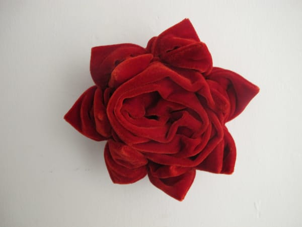Yasmin Jahan Nupur, Velvet Roses , 2015
