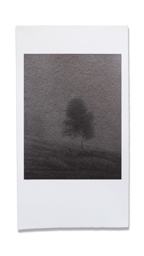 Sketched on a coffee-stained paper with graphite pencil, Irfan Channa, artist from Pakistan, imagines landscapes inspired by nature and explores deep connect with ecology