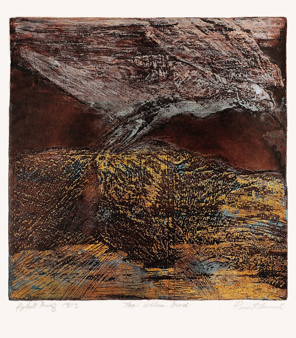 Rini Dhumal, The Silver Bird, 1982