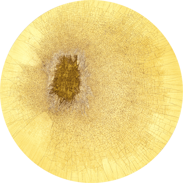 Dhara Mehrotra Labyrinth XII, 2022 Acrylic, fiber and ink on canvas 91.4 cm (diameter) 36 in