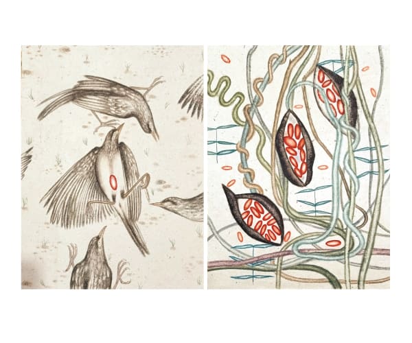 Neelima Nath Beloved Remains, 2023 Watercolor on Wasli paper 21.7 x 16 cm each 8 1/2 x 6 1/4 in Diptych