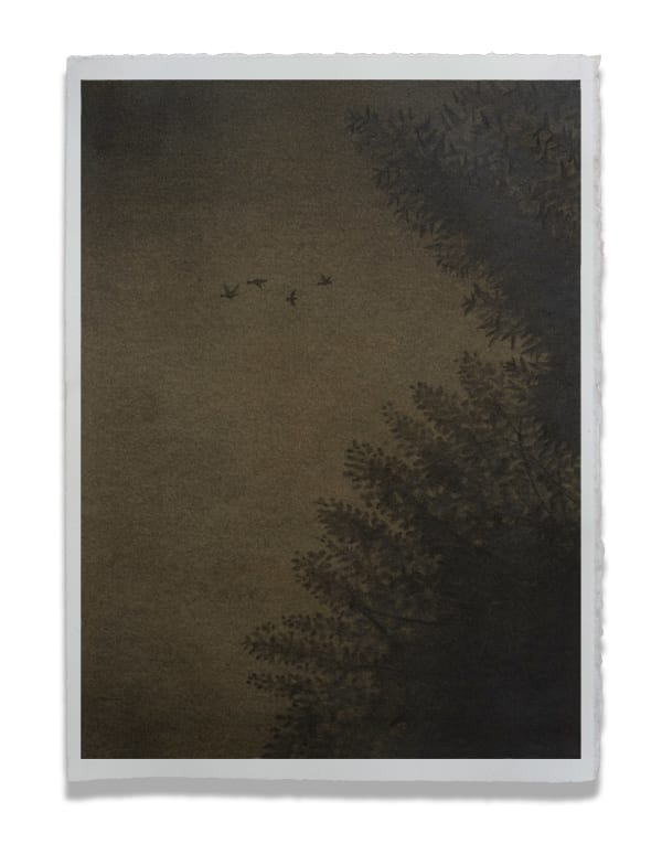 Sketched on a coffee-stained paper with graphite pencil, Irfan Channa, artist from Pakistan, imagines landscapes inspired by nature and explores deep connect with ecology